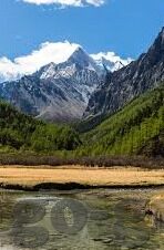 九游APP下载方式-探寻九游APP下载方式，一键安装，开启游戏之旅